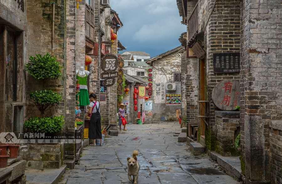 动物帮帮忙保卫家园