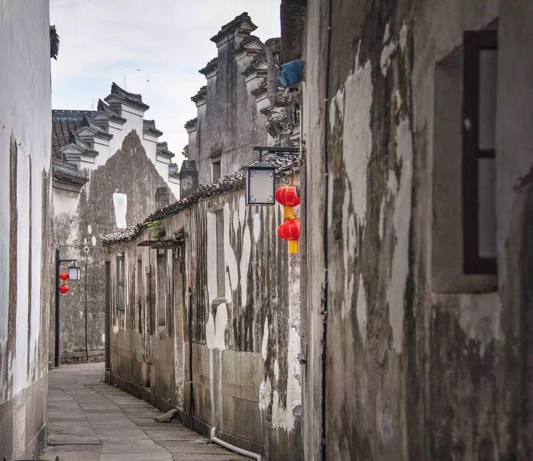 重庆将纵深推进成渝地区双城经济圈建设 合力打造带动全国高质量发展的重要增长极